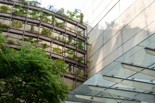 Sustainable building in Mexico City with curved green terraces and abundant vegetation, seen from ground level in daylight for eco-architecture and modern design concepts. - Powered by Adobe