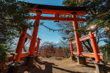 Torii Gate Framing Mount Fuji