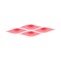 muscle cell illustration