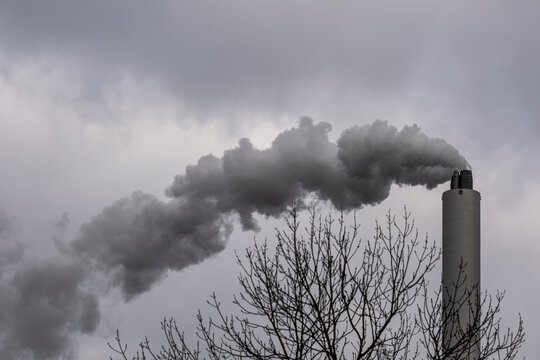 Horizontal industrial pipe expelling dark smoke with tree branches in foreground, emphasizing environmental concern and visual metaphor of pollution vs. nature.