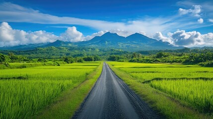 Straight dirt road dividing lush green rice fields with mountain range in background