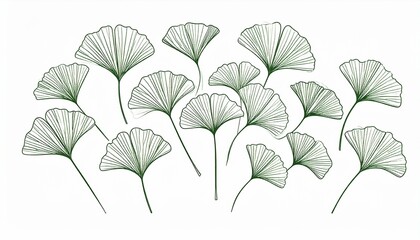 Obraz premium creative foliage, illustration of ginkgo leaves isolated