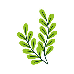 Green Leaf Branch: Capturing the delicate beauty of nature, a vibrant green leaf branch, with its symmetrical structure and vivid color.