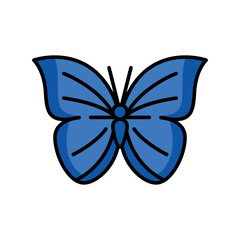 blue morpho butterfly color line icon for digital and print projects. South american animals.