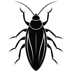 Macro close-up of a Colorado potato beetle, a black insect pest, isolated on a white background