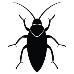 Macro close-up of a black Colorado potato beetle insect pest with antennae, isolated on a white background