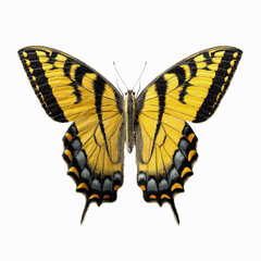 Naklejka premium Eastern Tiger Swallowtail Butterfly Close-Up