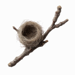 Fototapeta premium Empty Bird's Nest on a Branch
