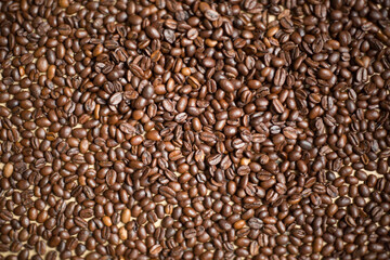 Roasted coffee beans in close-up view