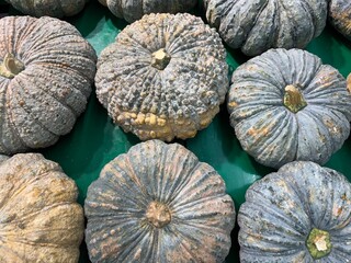 pumpkins selling on market store