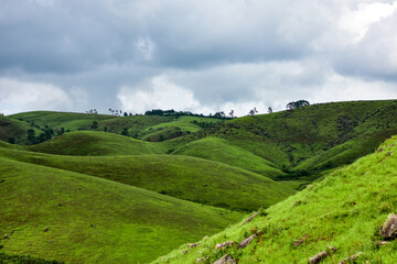 Rolling green hills and dense forests stretch towards a cloudy sky, showing rural landscape of...