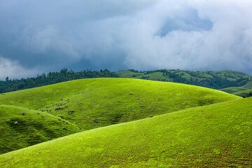 Rolling green hills and dense forests stretch towards a cloudy sky, showing rural landscape of...