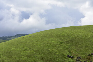 Rolling green hills and dense forests stretch towards a cloudy sky, showing rural landscape of...