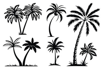 Palm tree shapes in various styles – tropical landscape and paradise decoration
