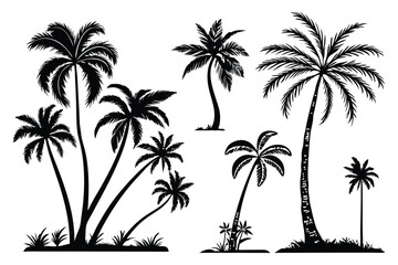 set of palm trees silhouettes vector design isolated on white background