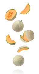 collection of melon isolated
