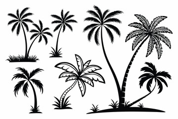 Tropical palm tree silhouette vector set – beach, summer, and vacation themed illustrations