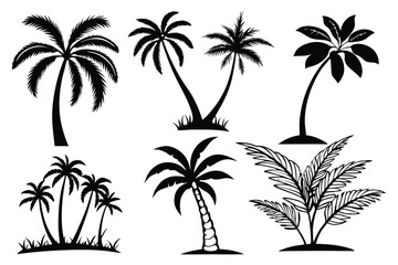 Tropical palm tree silhouette vector set – beach, summer, and vacation themed illustrations