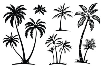 Tropical palm tree silhouette vector set – beach, summer, and vacation themed illustrations