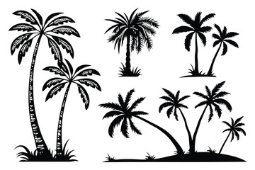 Obraz premium Tropical palm tree silhouette vector set – beach, summer, and vacation themed illustrations
