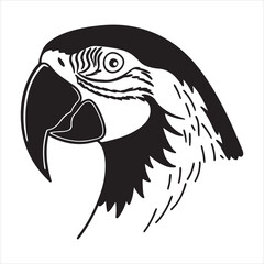 Scarlet Macaw Majesty – Vivid Tropical Parrot in Full Color Display