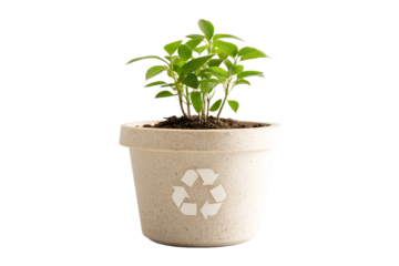 Sustainable Plant Growth Eco-Friendly Pot with Recycling Symbol