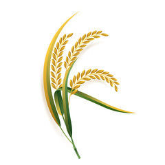 paddy rice premium organic natural product banner logo vector design