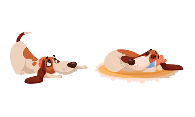 Playful and lively dogs in the most adorable and charming various poses you can imagine