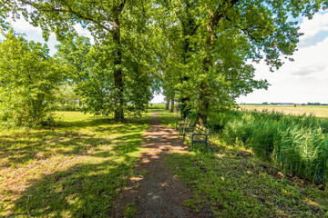 Two benches at the edge of a field in the shade under the trees. The photo was taken on a sunny day in the Dutch spring season.