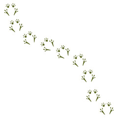 Frog logo icon design template