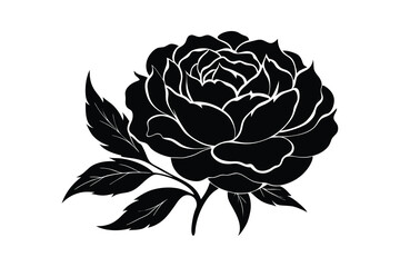 Obraz premium Peony hand drawing flower silhouette on white background