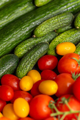 Fresh cucumbers lying near ripe red and yellow tomatoes