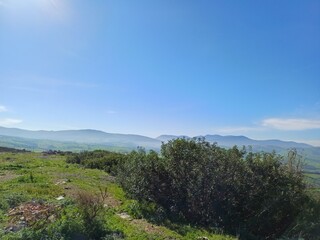 Nature
Landscape
Blue sky
Green hillside
Contrast
Scenic view
Lush greenery
Dense foliage
Tranquil
Serene
Countryside
Outdoor
Panoramic view
Natural beauty
Untouched environment