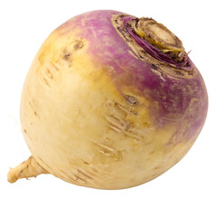 A rutabaga isolated on a transparent background
