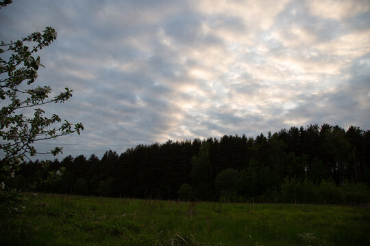 Beautiful sunset bright colorful clouds sky under the forest in spring time. Silhouette background in evening at rural season green grass field with no people. Natural colors