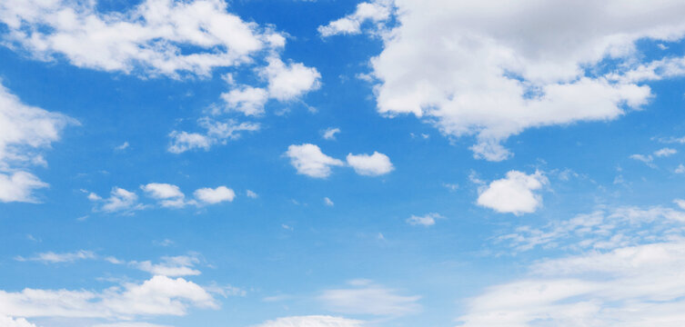 Fototapeta sky is blue and clear with  clouds