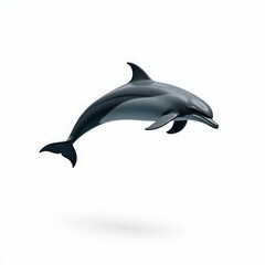White background isolation of a swimming dolphin with a fin