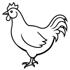 hen and rooster