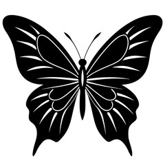 butterfly on a white background