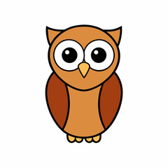 owl on white background