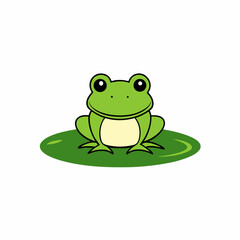 green frog on white background