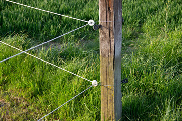 Animal fence with special wire or tape attachments on wooden posts in Europe, part of an electric...