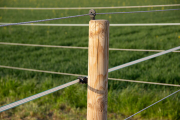 Animal fence with special wire or tape attachments on wooden posts in Europe, part of an electric fence system for livestock management in modern agriculture. © Yahor