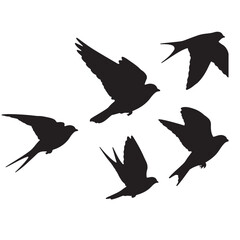 birds flying silhouette 