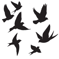 birds flying silhouette 