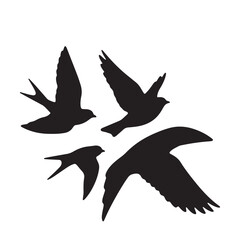 birds flying silhouette 