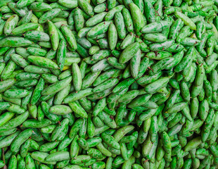 Beautiful fresh green leafy vegetables.