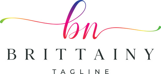 Letter B and N Monogram Logo Design Vector  © Stud