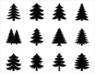 Obraz premium Douglas Fir Tree Logo Elements