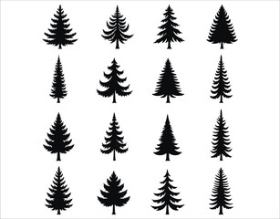 Obraz premium Pine and Fir Tree Silhouettes Bundle